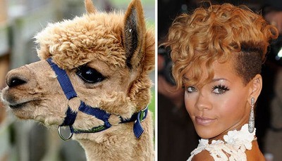 /glamour/twinning-these-celebs-and-their-animal-doppelgangers-are-just-too-funny-to-pass-up/img/doppel04_MobileImageSizeReigNN.jpg