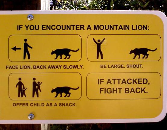 funnysigns01_.jpg