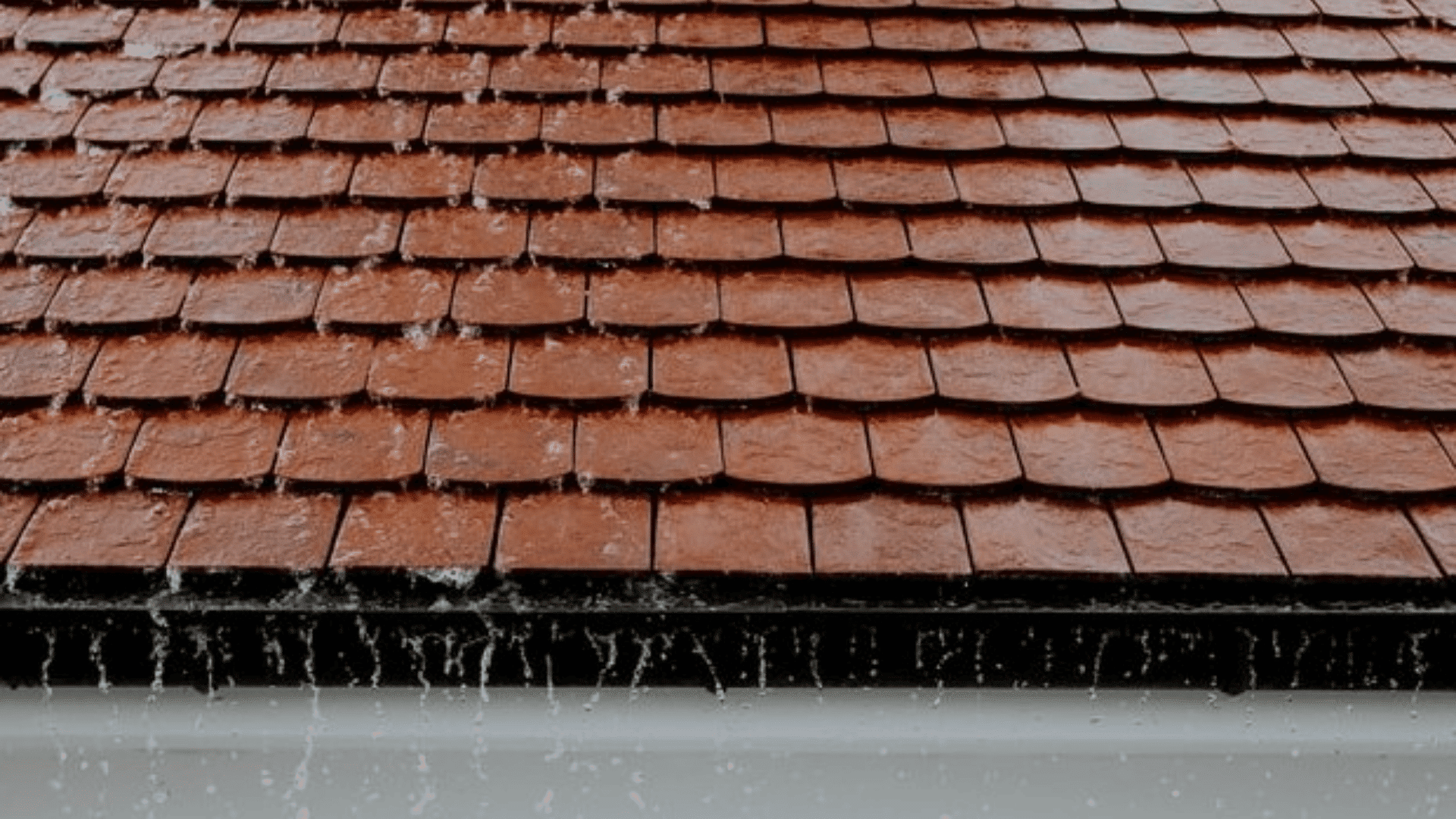 roof leak repair cost