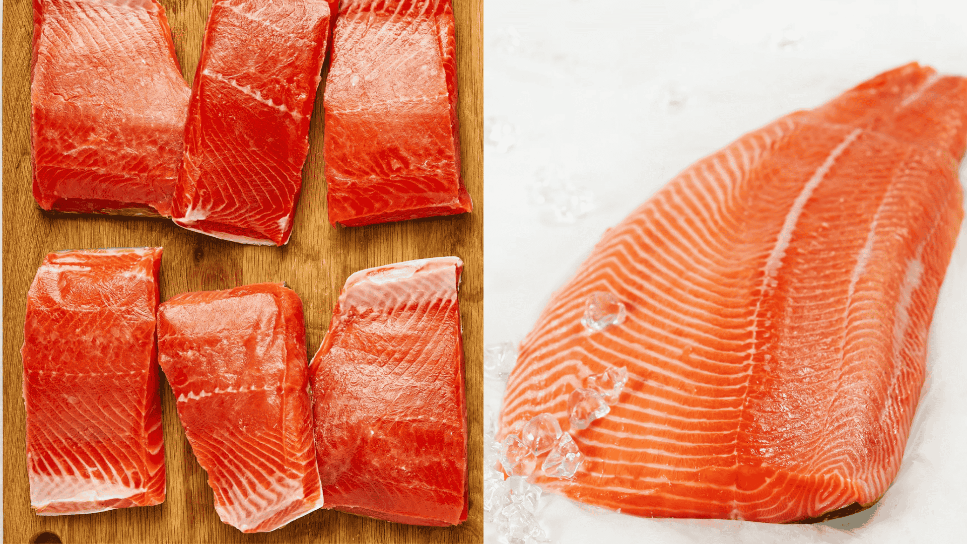 sockeye vs atlantic salmon