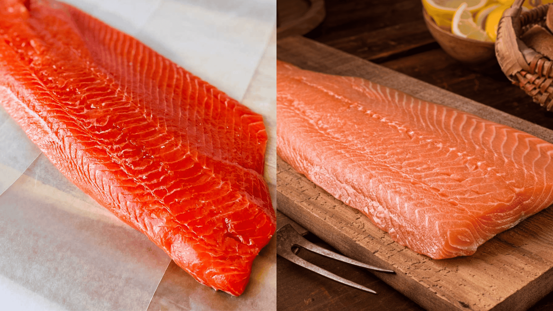 sockeye vs coho salmon