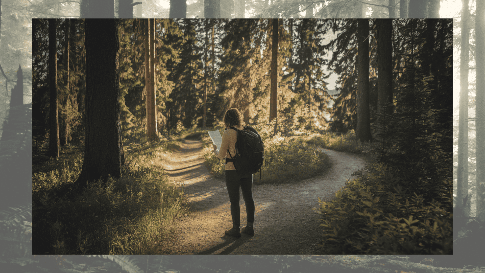 wilderness survival