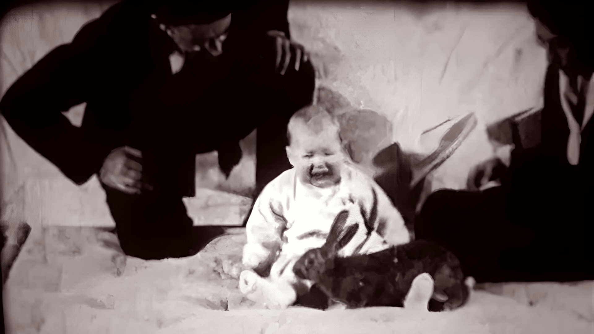 little albert experiment