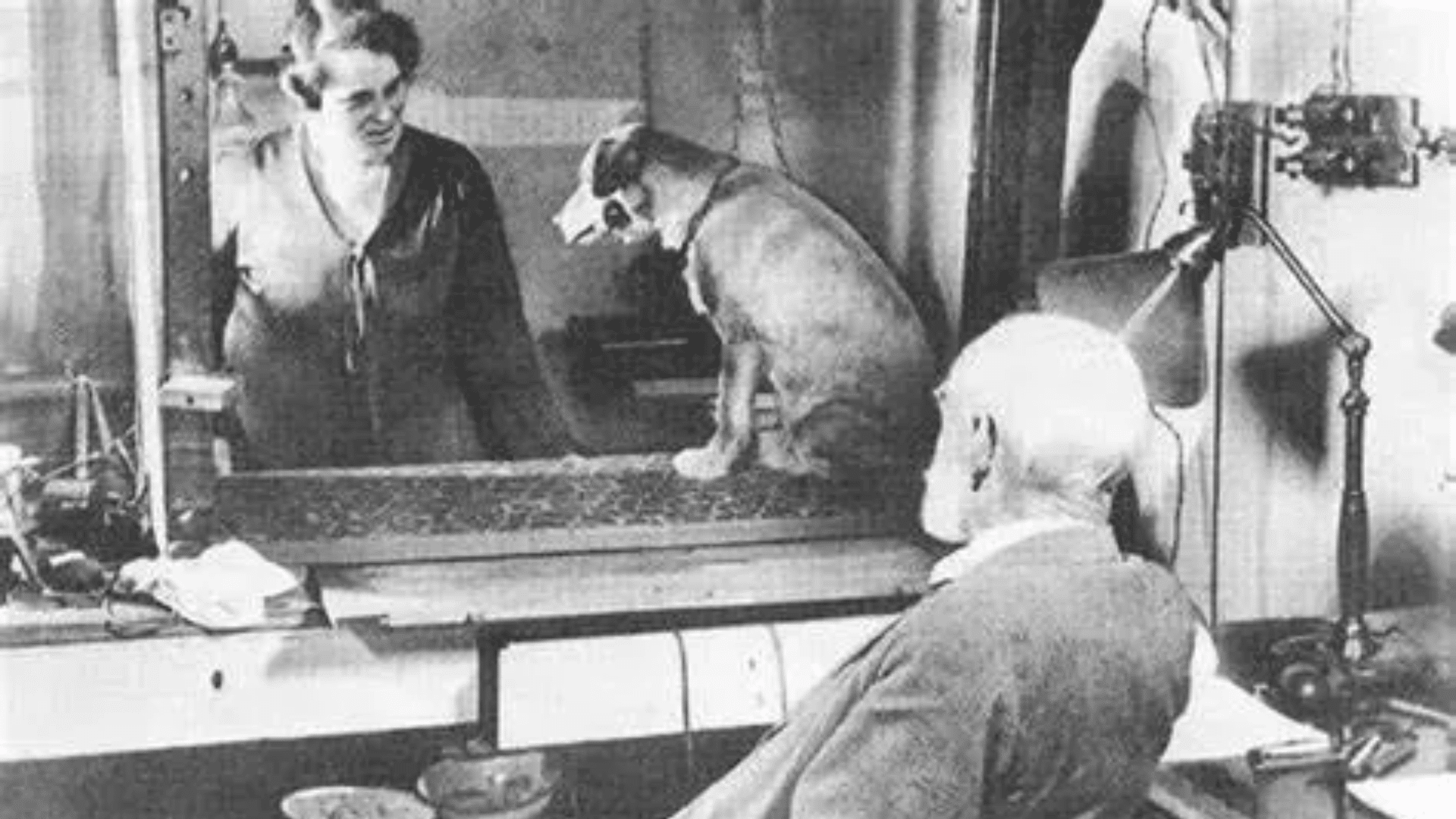 pavlovs dogs classical conditioning