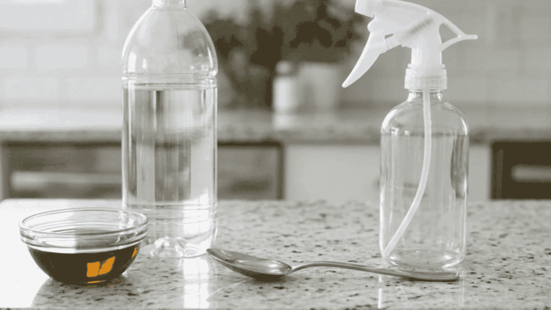 A bowl of neem oil a plastic bottle with water a mild dish spoon and an empty clear spray bottle rest on a kitchen slab (1)