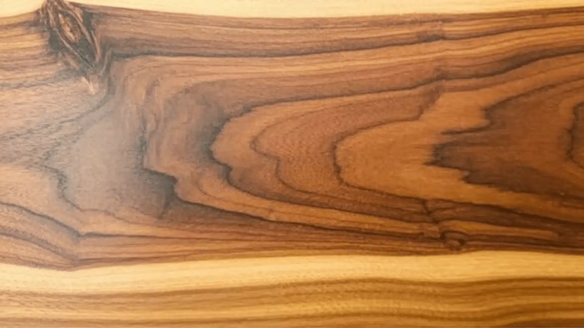 Close-up texture of rich brown sheesham wood grain featuring contrasting light sapwood and dark heartwood with a prominent knot structure